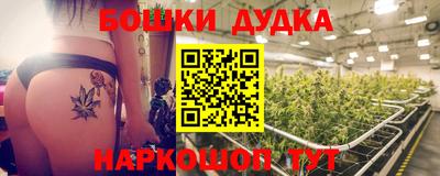 apvp Гусев