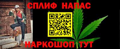 apvp Гусев