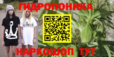 PSILOCYBIN Гусиноозёрск