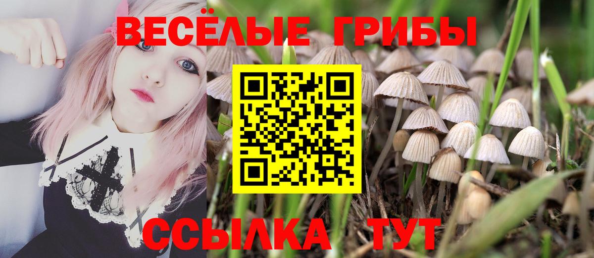 Галлюциногенные грибы прущие грибы Всеволожск