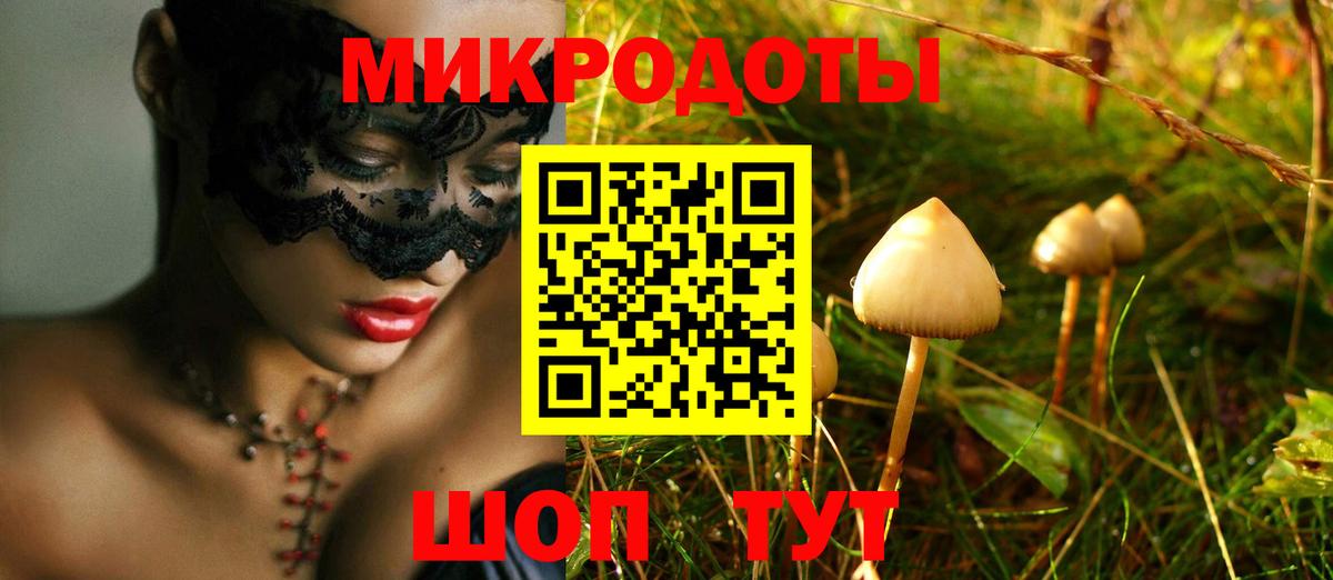 Псилоцибиновые грибы Psilocybine cubensis  Псилоцибиновые грибы мицелий  Вход с VPN  Всеволожск 